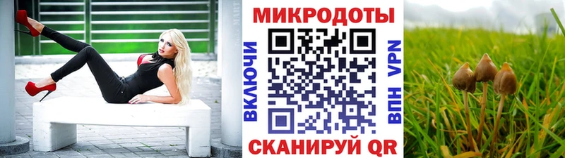Псилоцибиновые грибы Cubensis  Купить закладки  Пушкино 